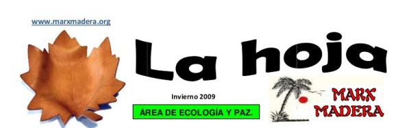 hoja invierno 2009 hoja invierno 2009
